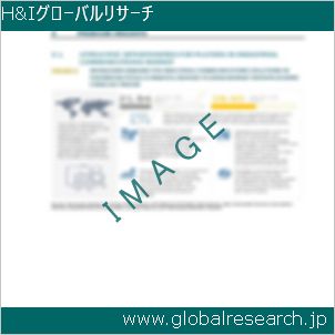 グローバルリサーチ調査レポートのイメージ
